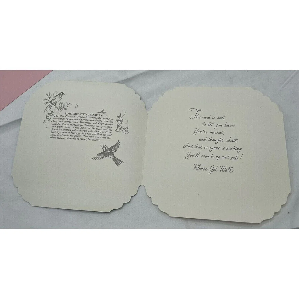 5 VINTAGE QUALITY CREST BEAUTIFUL BIRDS SCENES GREETING CARDS UNUSED ENVLEOPES